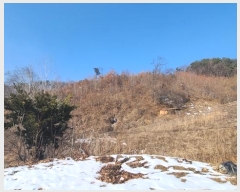  2024Ÿ3444  Ⱦ õ ϴ븮 29      (Ӿ)