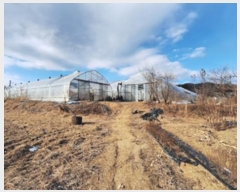  2024Ÿ3512  Ⱦ   289-3      (1)