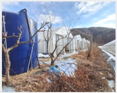  2024Ÿ3512  Ⱦ   289-3      (1)