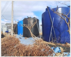  2024Ÿ3512  Ⱦ   289-3      (1)