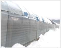  2024Ÿ3512  Ⱦ   289-3      (1)