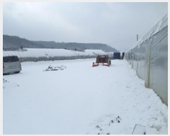  2024Ÿ3512  Ⱦ   289-3      (1)