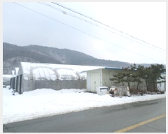  2024Ÿ3512  Ⱦ   289-3      (1)