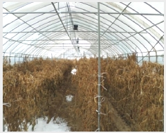  2024Ÿ3512  Ⱦ   289-3      (1)