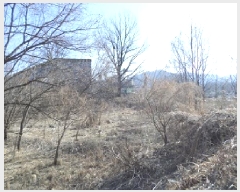  2024Ÿ��3574  ����