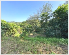  2024Ÿ404573  ֽ ʸ 縮 137-13      (Ӿ)