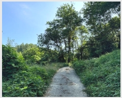  2024Ÿ404573  ֽ ʸ 縮 137-13      (Ӿ)