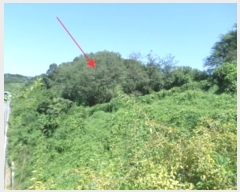  2024Ÿ404573  ֽ ʸ 縮 137-13      (Ӿ)