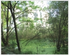  2024Ÿ404993  ֽ ܰ赿 859       ()