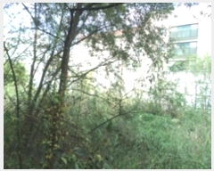  2024Ÿ404993  ֽ ܰ赿 859       ()