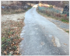  2024Ÿ405002  ֽ ͷ ͷ 1561-3      ()