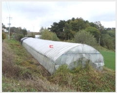  2024Ÿ��405460  �����