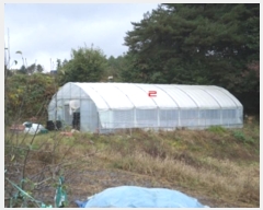  2024Ÿ��405460  �����