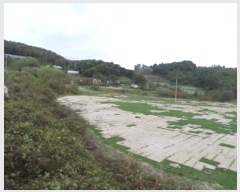  2024Ÿ��405460  �����