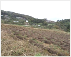  2024Ÿ��405460  �����