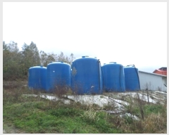  2024Ÿ��405460  �����