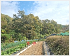  2024Ÿ405576  ֽ ηи հ 910      (Ӿ)