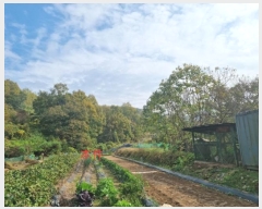  2024Ÿ405576  ֽ ηи հ 910      (Ӿ)