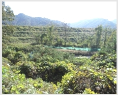  2024Ÿ405576  ֽ ηи հ 910      (Ӿ)