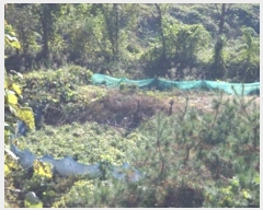  2024Ÿ405576  ֽ ηи հ 910      (Ӿ)