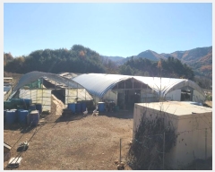  2024Ÿ405781  ֽ Ÿ Ÿ 577      (1)