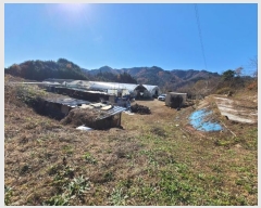  2024Ÿ405781  ֽ Ÿ Ÿ 577      (1)