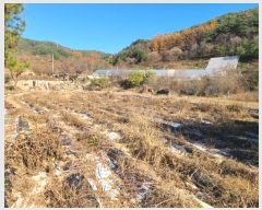  2024Ÿ405781  ֽ Ÿ Ÿ 577      (1)