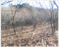  2024Ÿ��406272  �����