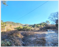  2024Ÿ406395  ֽ ηи հ 21-1      (Ӿ)