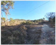  2024Ÿ406395  ֽ ηи հ 21-1      (Ӿ)