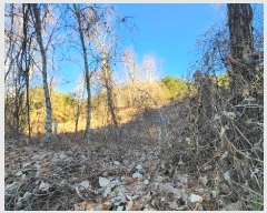  2024Ÿ406395  ֽ ηи հ 21-1      (Ӿ)