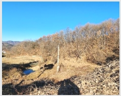  2024Ÿ406395  ֽ ηи հ 21-1      (Ӿ)