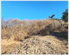  2024Ÿ406395  ֽ ηи հ 21-1      (Ӿ)