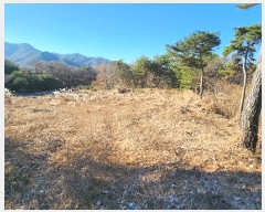  2024Ÿ406395  ֽ ηи հ 21-1      (Ӿ)