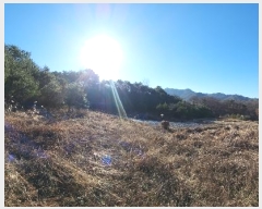  2024Ÿ406395  ֽ ηи հ 21-1      (Ӿ)