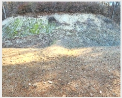  2024Ÿ406395  ֽ ηи հ 21-1      (Ӿ)