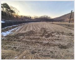  2024Ÿ406555  ֽ ʸ ϸ 1196-1      ()