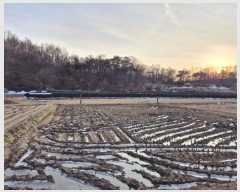  2024Ÿ406555  ֽ ʸ ϸ 1196-1      ()