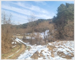  2024Ÿ406586  Ⱦ г  114-4      (1)