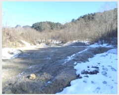  2024Ÿ406586  Ⱦ г  114-4      (1)