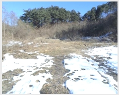  2024Ÿ406586  Ⱦ г  114-4      (1)