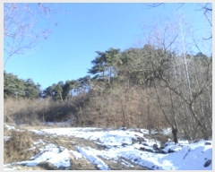  2024Ÿ406586  Ⱦ г  114-4      (1)