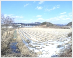  2024Ÿ��406722  ����