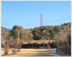  2024Ÿ406869  Ⱦ г  120      (Ӿ)