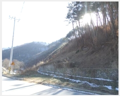  2024Ÿ406869  Ⱦ г  120      (Ӿ)