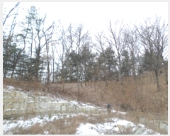  2024Ÿ��406944  �Ӿ߰��