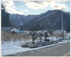  2024Ÿ��407145  �����