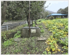  2024Ÿ��407145  �����