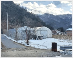  2024Ÿ��407145  �����