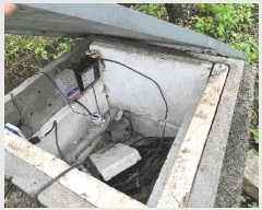  2024Ÿ��407145  �����